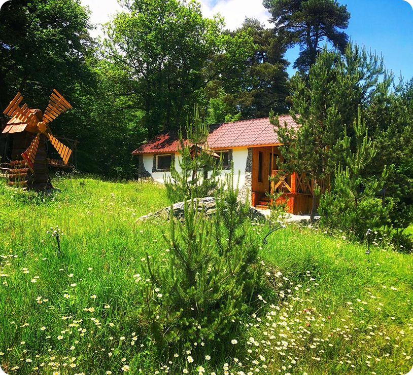 Stepanavan Dendropark