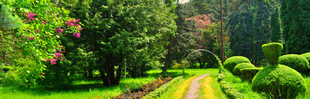 Ստեփանավանի Դենդրոպարկ