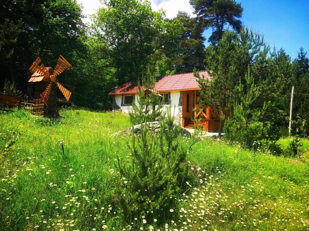 Stepanavan Dendropark