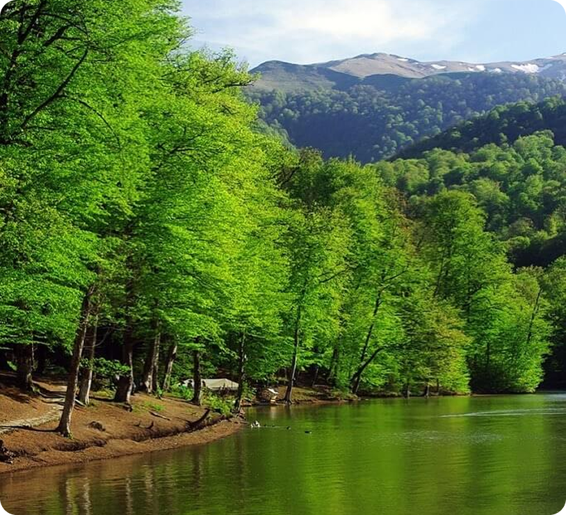Dilijan National Park