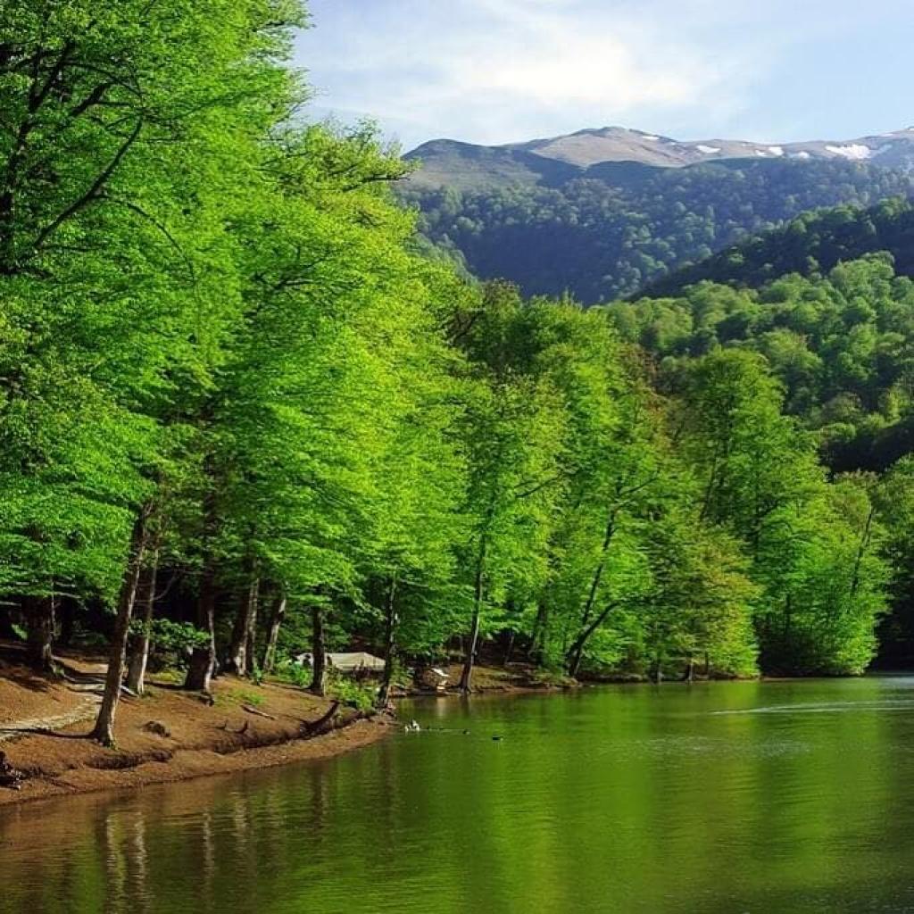 Dilijan National Park