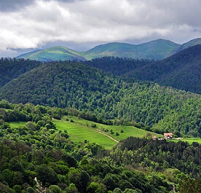 Dilijan National Park