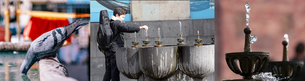 Drinking Fountains: The Tastiest Water in the World