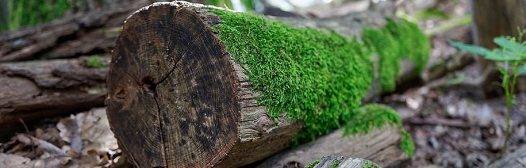 Top 5 Hiking Places in Armenia