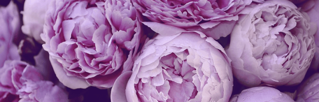 8 марта - Международный женский день ․ Как армяне празднуют его