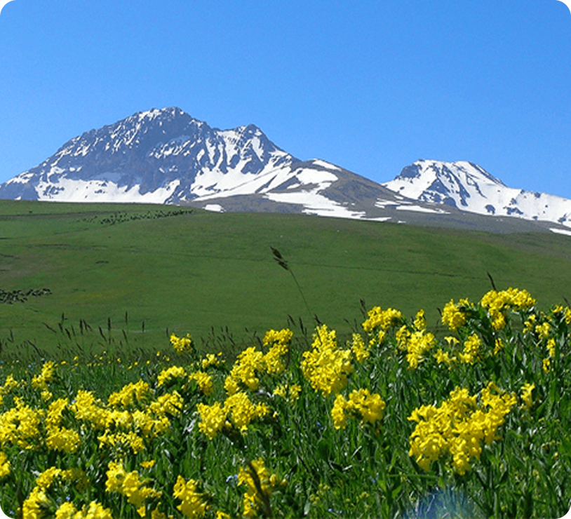Mount Aragats