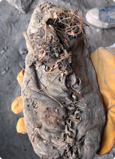 Mystérieuse "grotte aux oiseaux" : la plus ancienne cave et la plus ancienne chaussure