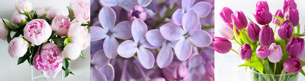 Армянские цветы