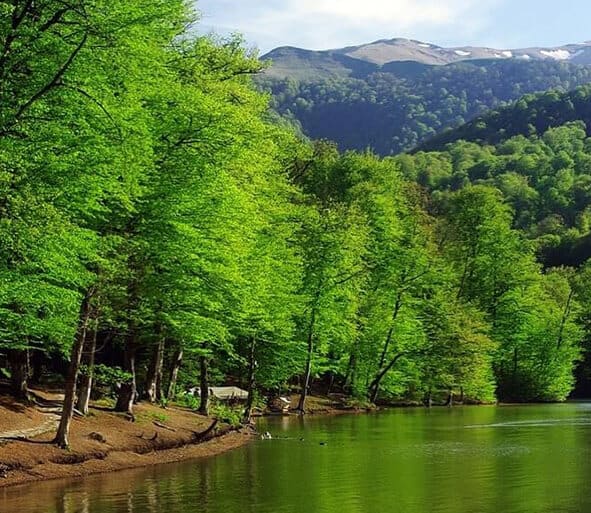 Things To Do in Dilijan