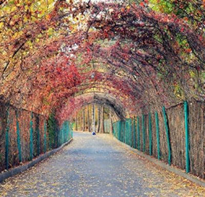 Ереванский Ботанический Сад