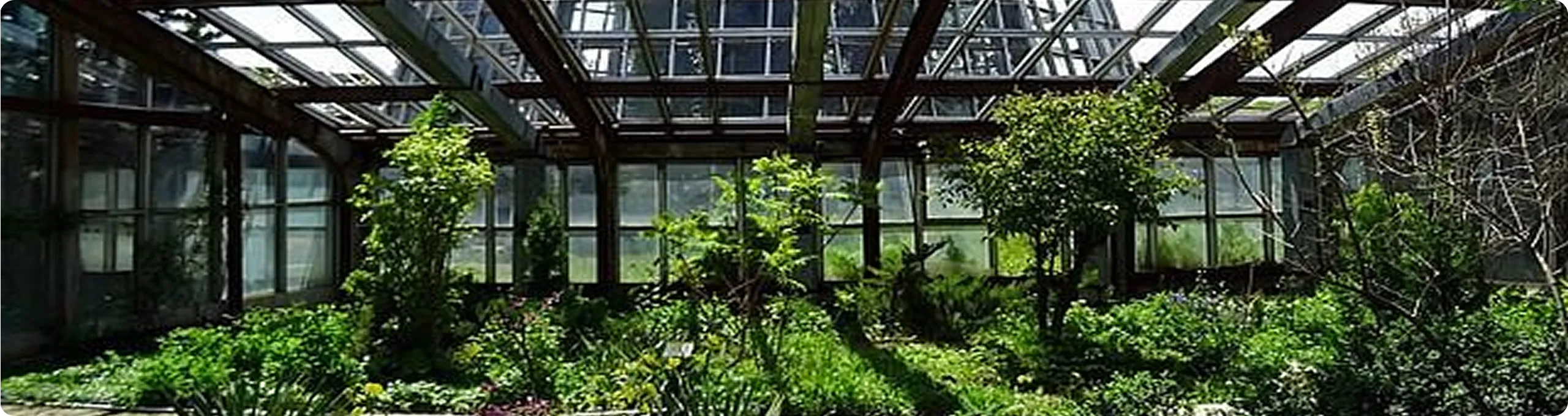 Jardin botanique d'Erevan