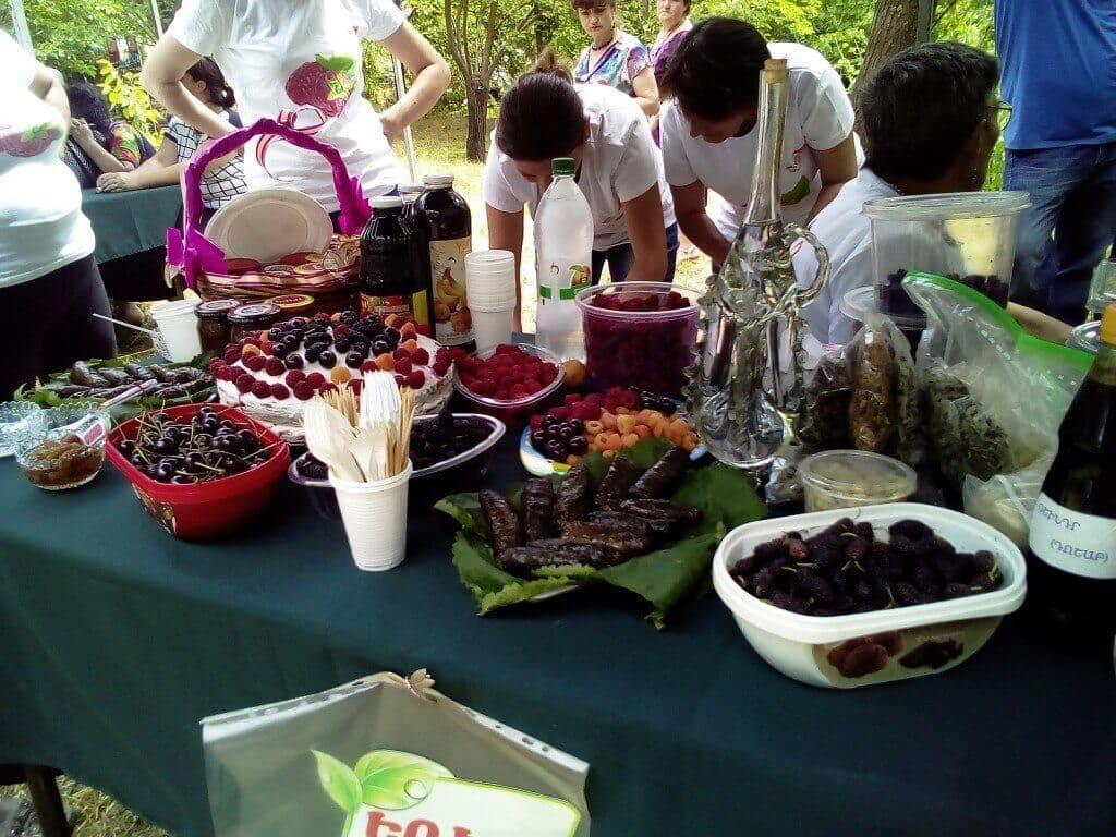 Festival “Gift of Syunik”