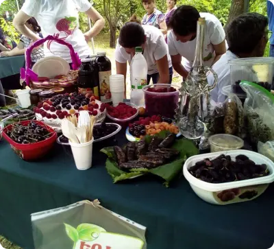 Festival "Geschenk von Syunik"