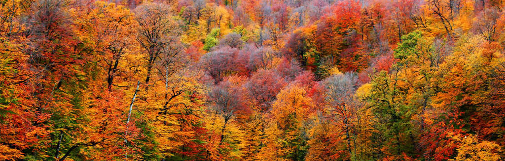 Հայաստանի բնությունը