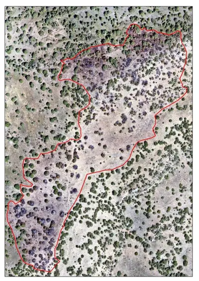 Khosrov Forest State Reserve