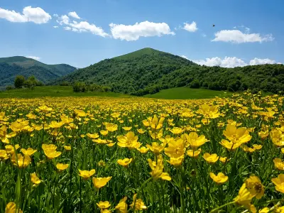 Parc national de Dilijan