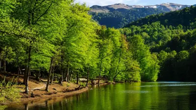 Parc national de Dilijan