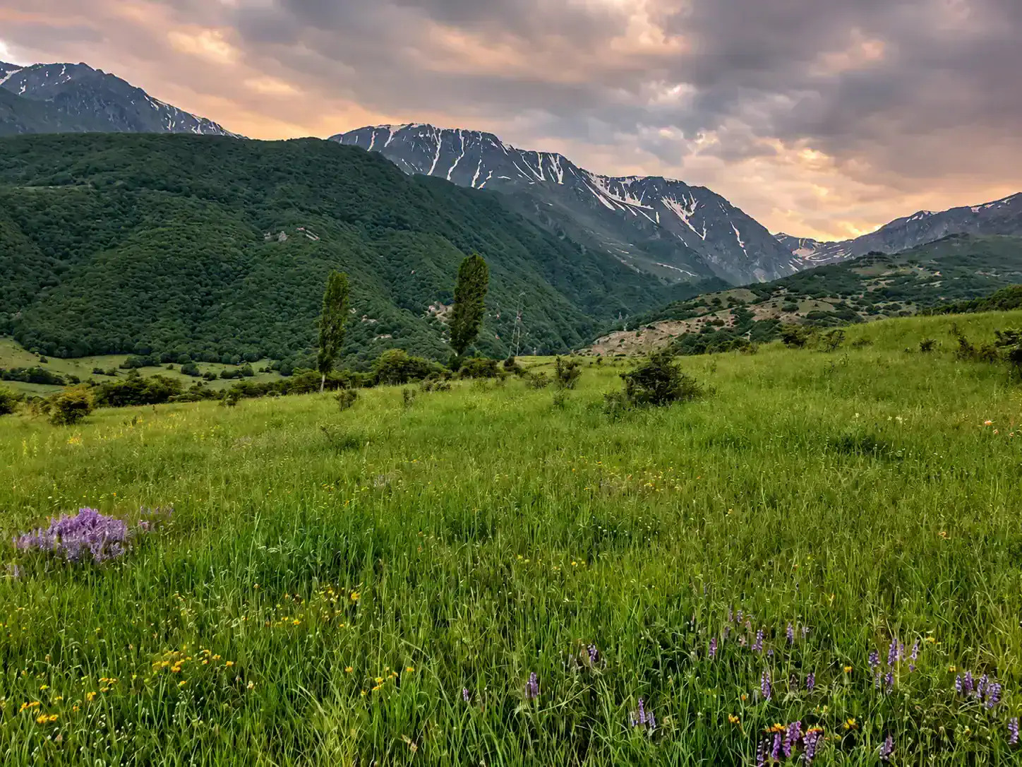 Nationalpark Arevik