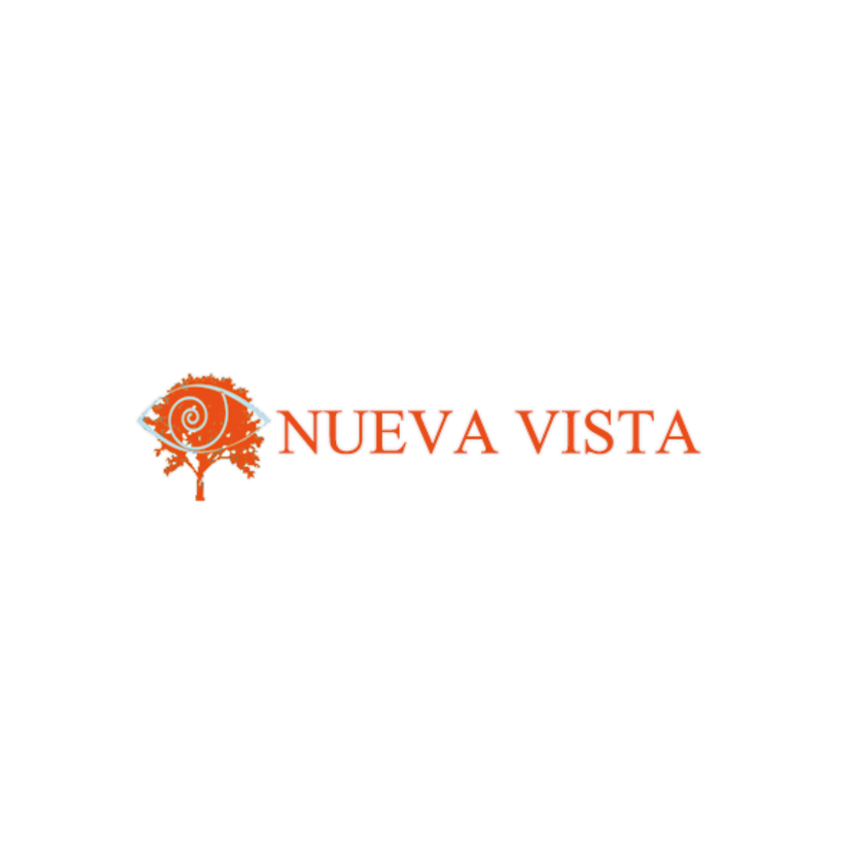 Nueva Vista DMC and Tour Operator logo