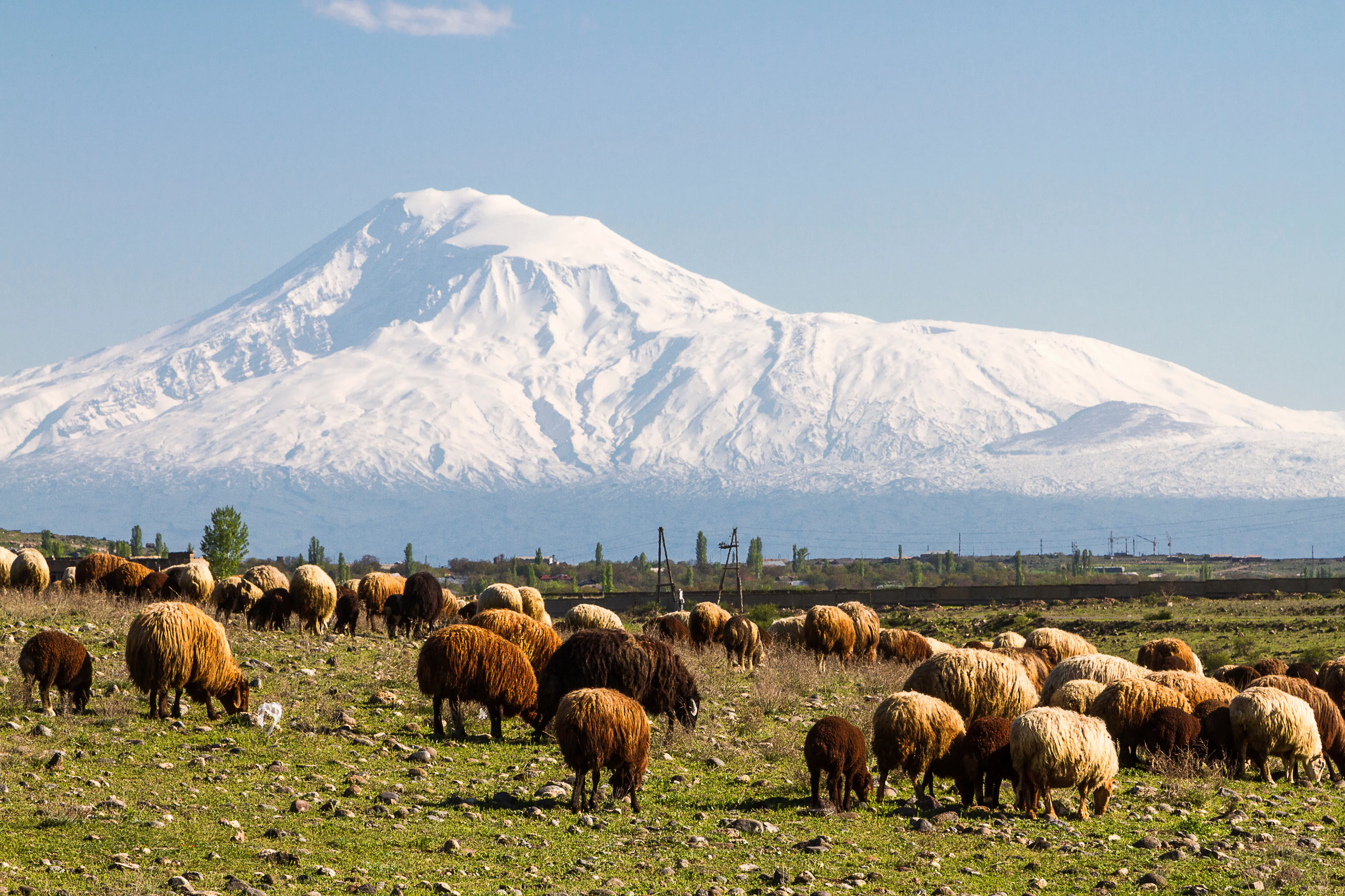 Armenia Grand Discovery
